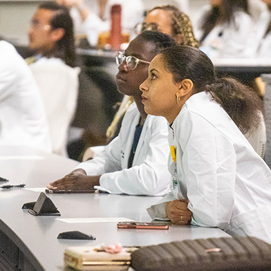 Academic Excellence & Professional Precision